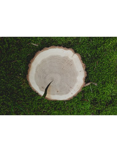 Dřevěná podložka jasan