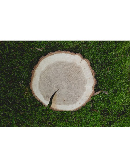 Dřevěná podložka jasan