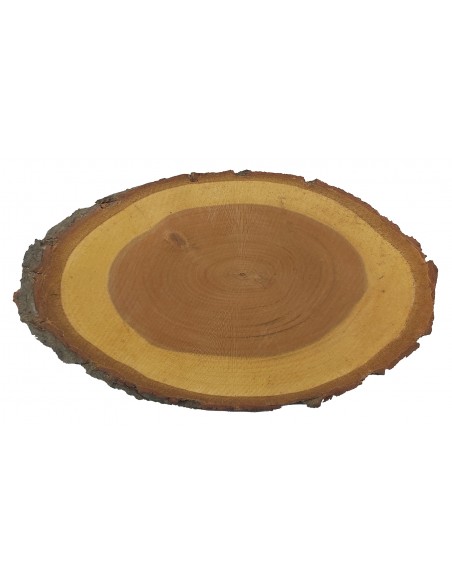 Dřevěný plátek tenký švestka - šikmý řez