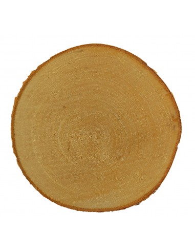 Dřevěný plátek bříza