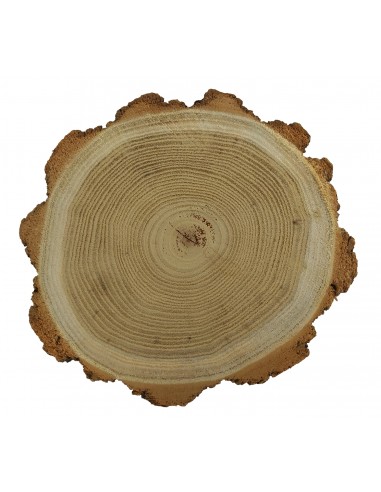 Dřevěný plátek akát