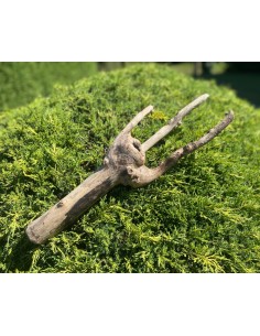 Dřevěná dekorace 1 2